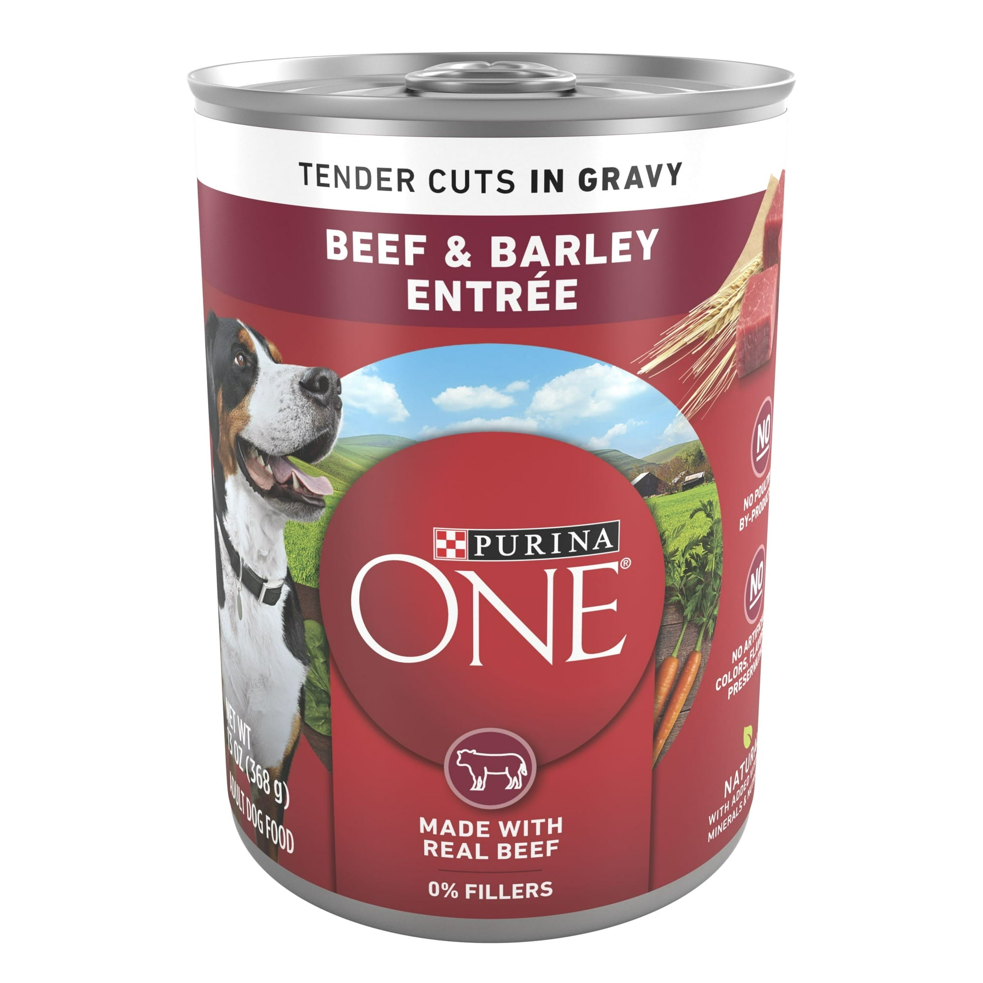 Purina ONE Natural Wet Dog Food, High Protein Soft Beef & Barley In Gravy