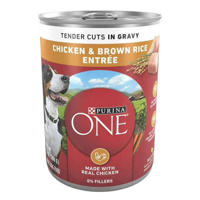 Purina ONE Natural Wet Dog Food, High Protein Soft Chicken & Brown Rice In Gravy