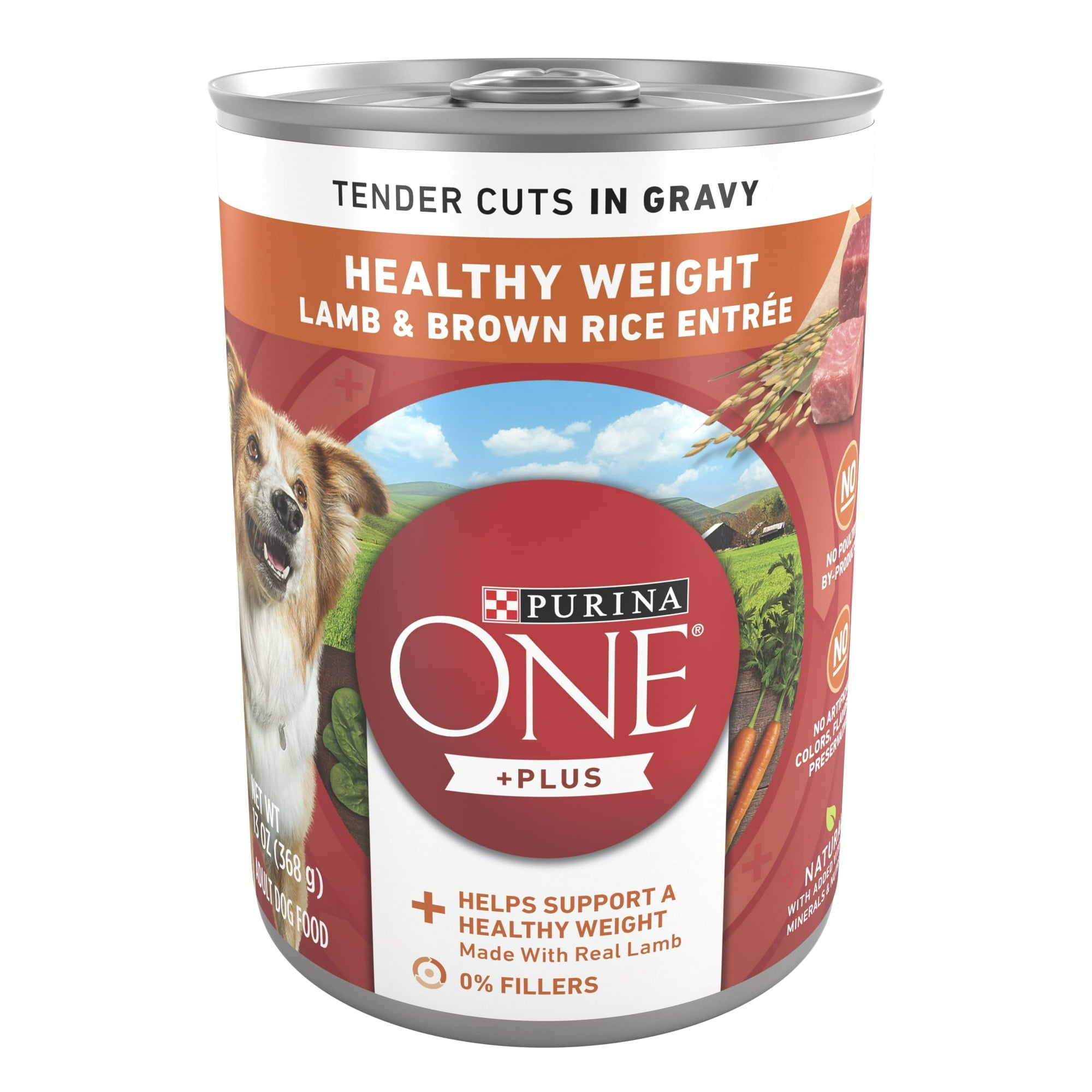Purina ONE PLUS Natural Wet Dog Food, High Protein Soft Lamb & Brown Rice