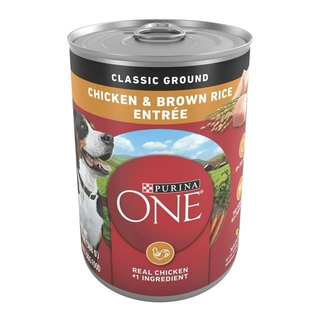 Purina ONE Smart Blend Wet Dog Food, High Protein Soft Chicken & Brown Rice Classic Ground