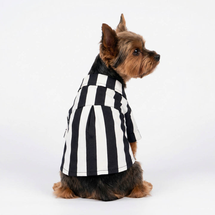 Fitwarm Spooky Striped Dog Shirt