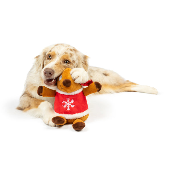 Huxley and Kent Rocky Reindeer