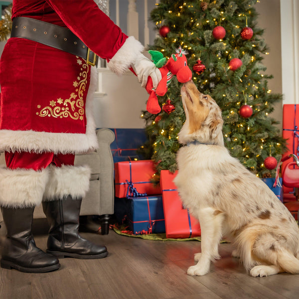 Huxley and Kent Snowball Dragon Small