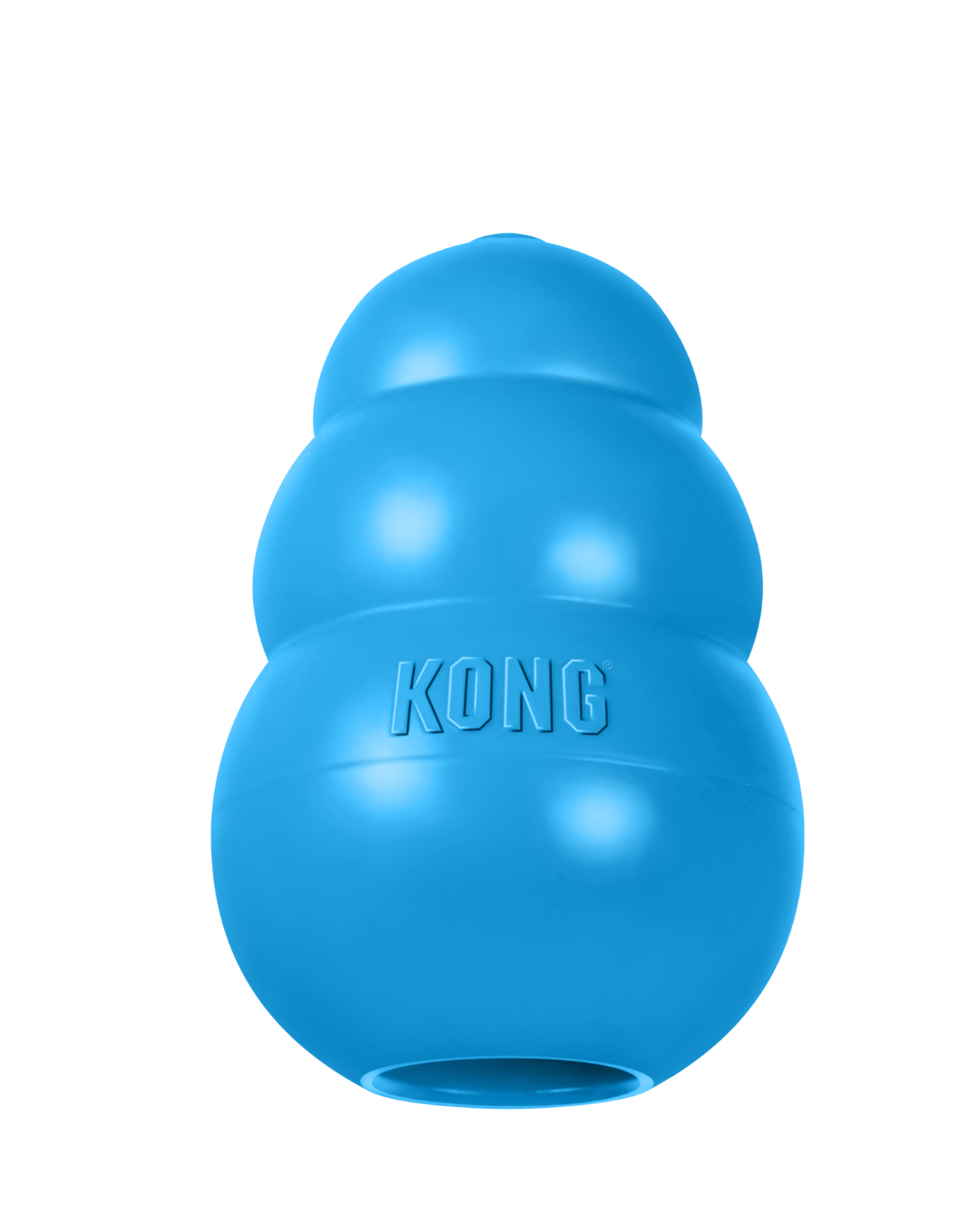 Kong Puppy Large