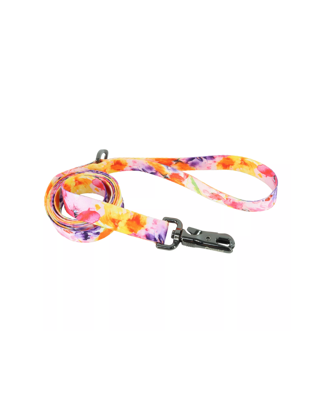Coastal Inspire Fashion Dog Leash