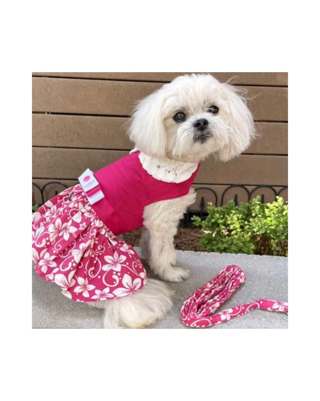 Doggie Design Pink Hibiscus Dog Dress with Matching Leash