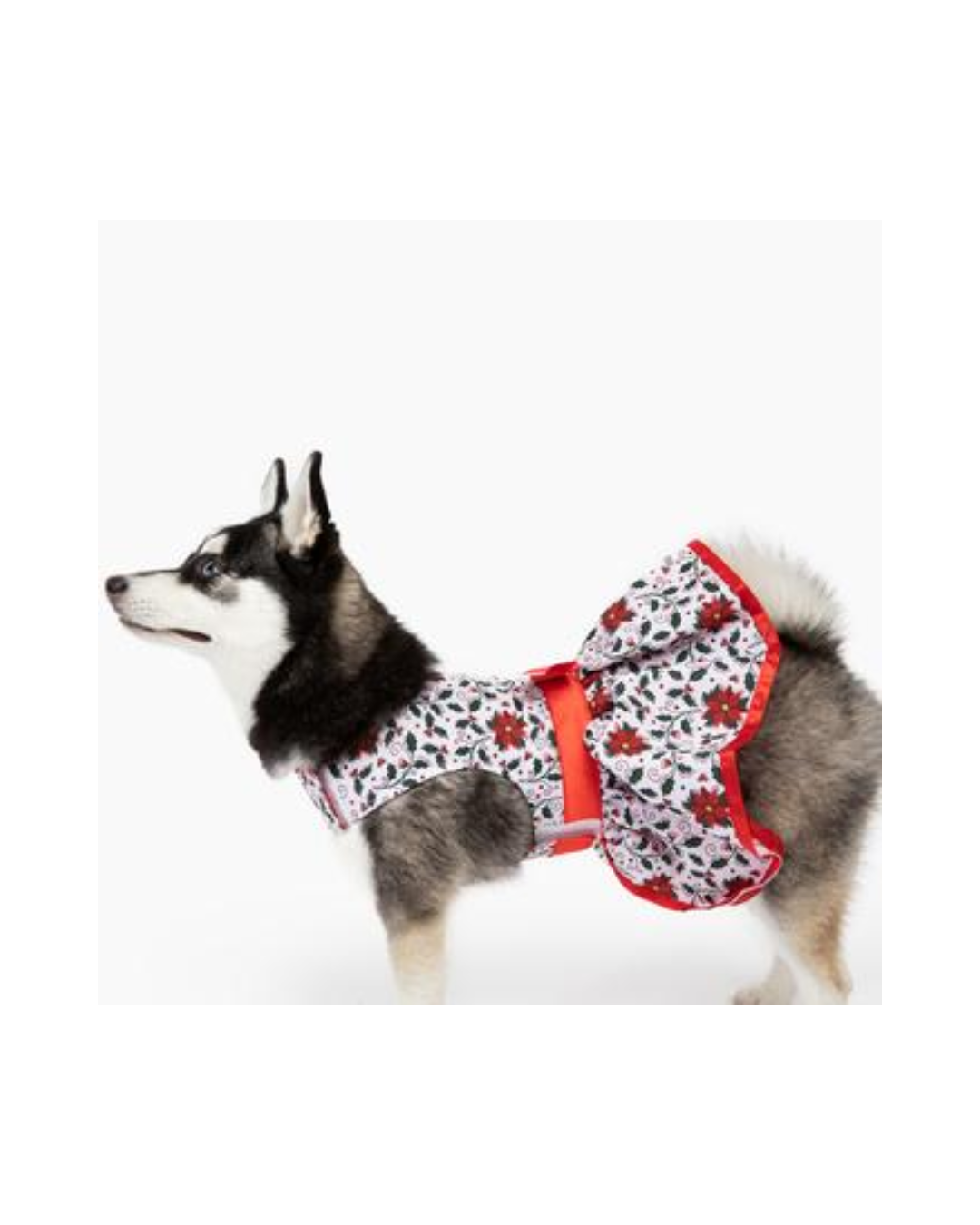 Doggie Design Holiday Dog Harness Dress - Holly