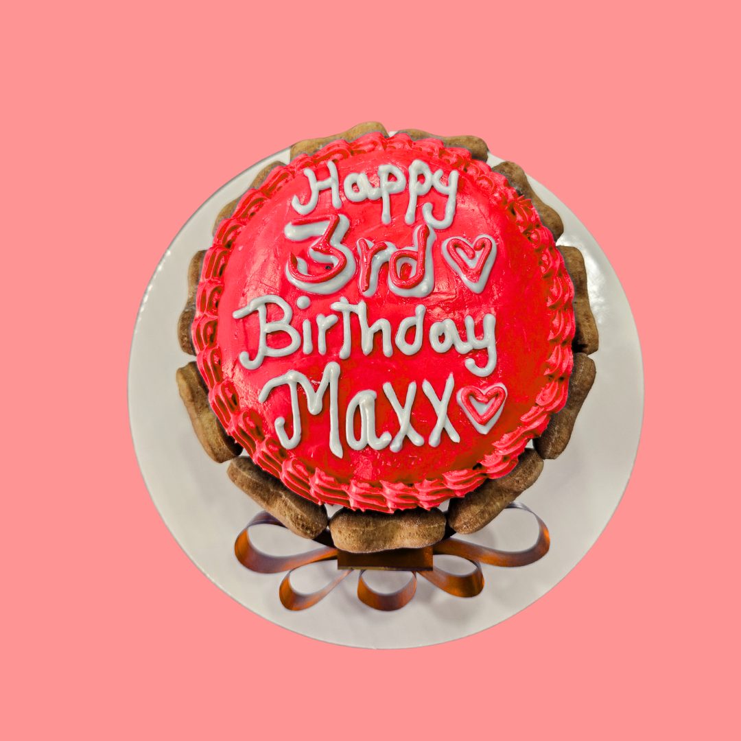 Dog Birthday Cake with Biscuits around.