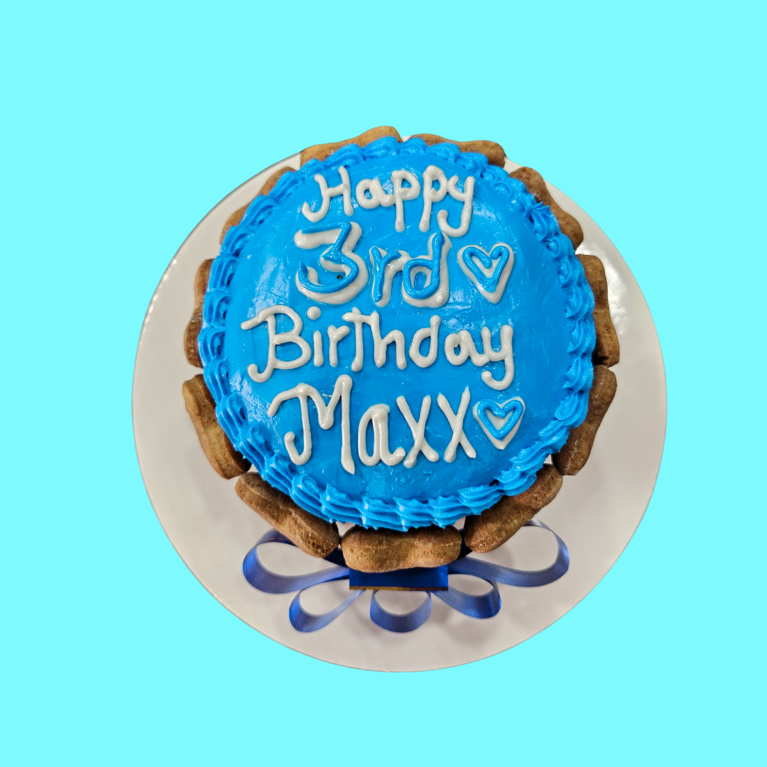 Dog Birthday Cake with Biscuits around.