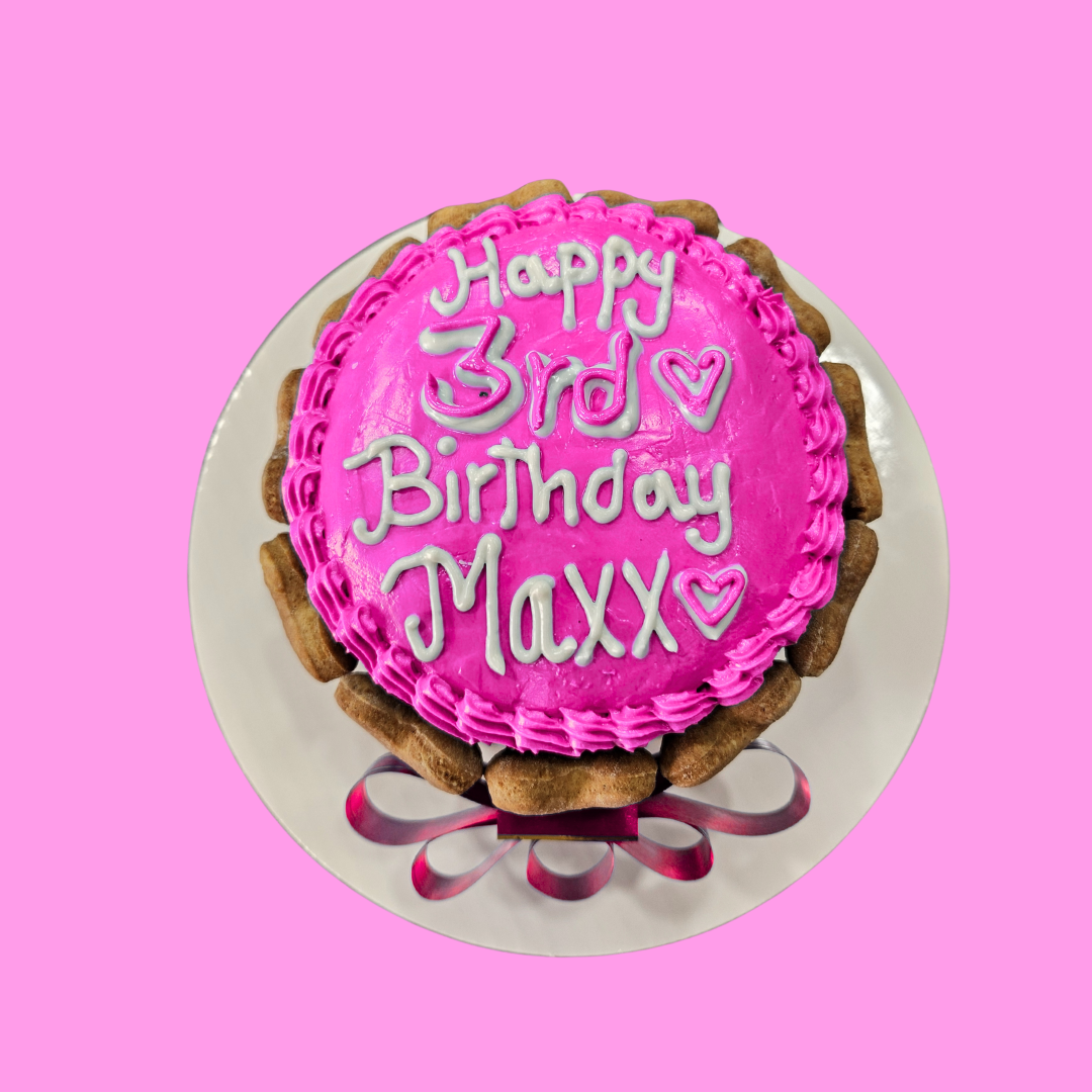 Dog Birthday Cake with Biscuits around.