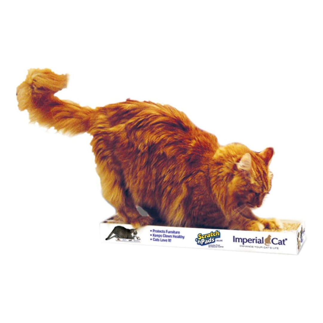 Deluxe Scratch 'n Pad