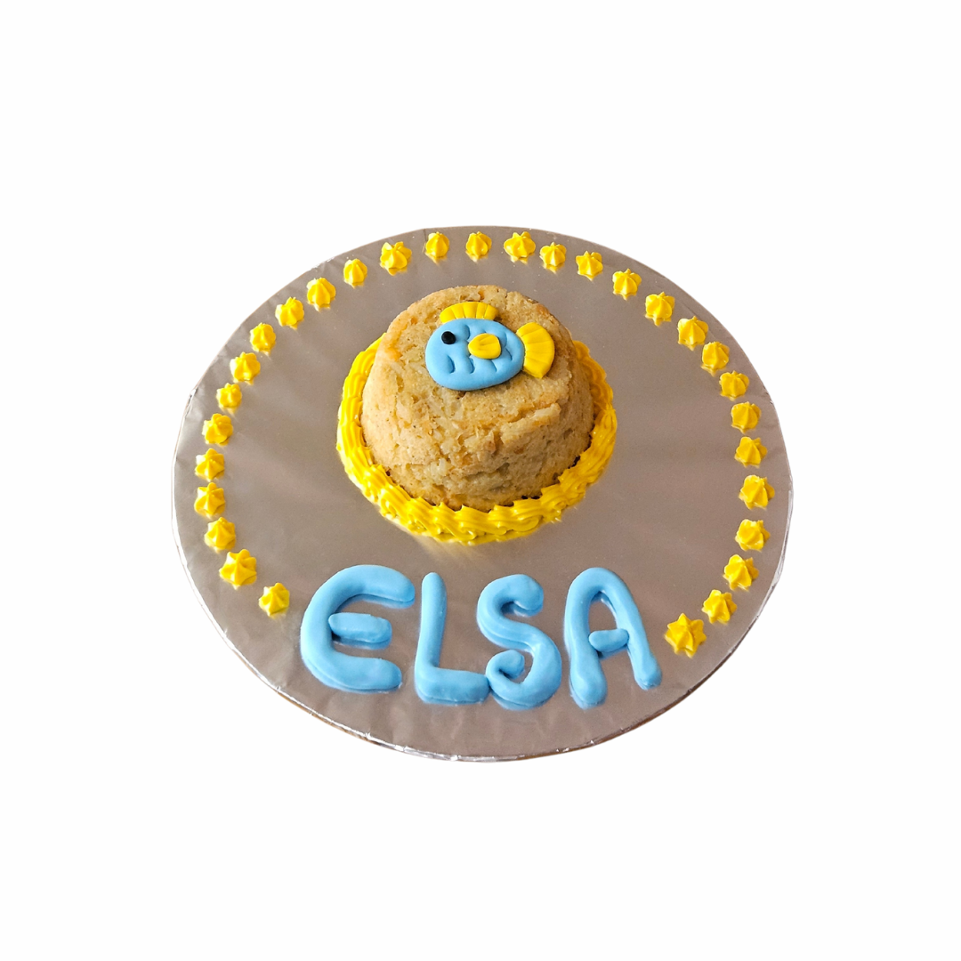Cat Birthday Cake - Fish Cat cake