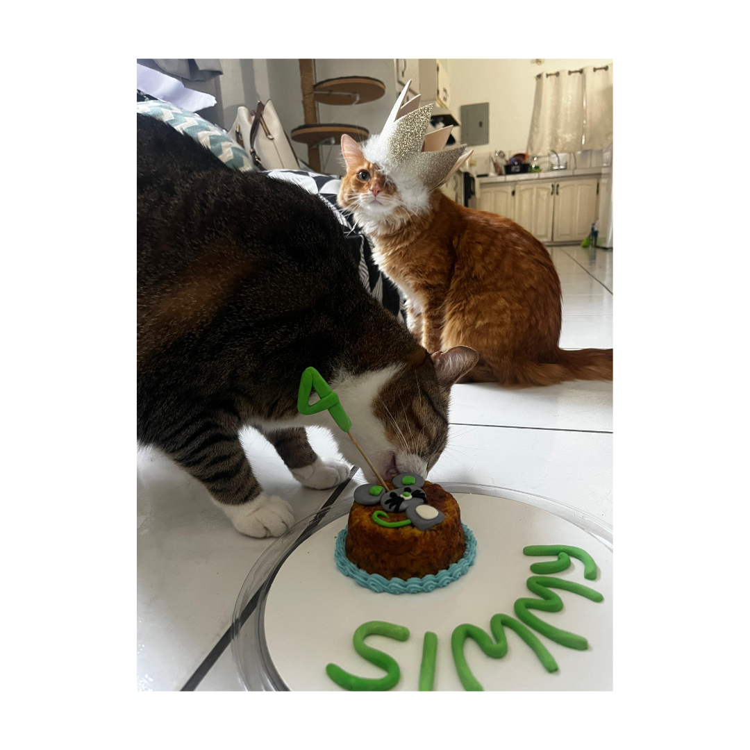 Cat Birthday Cake- Mouse Cat Cake