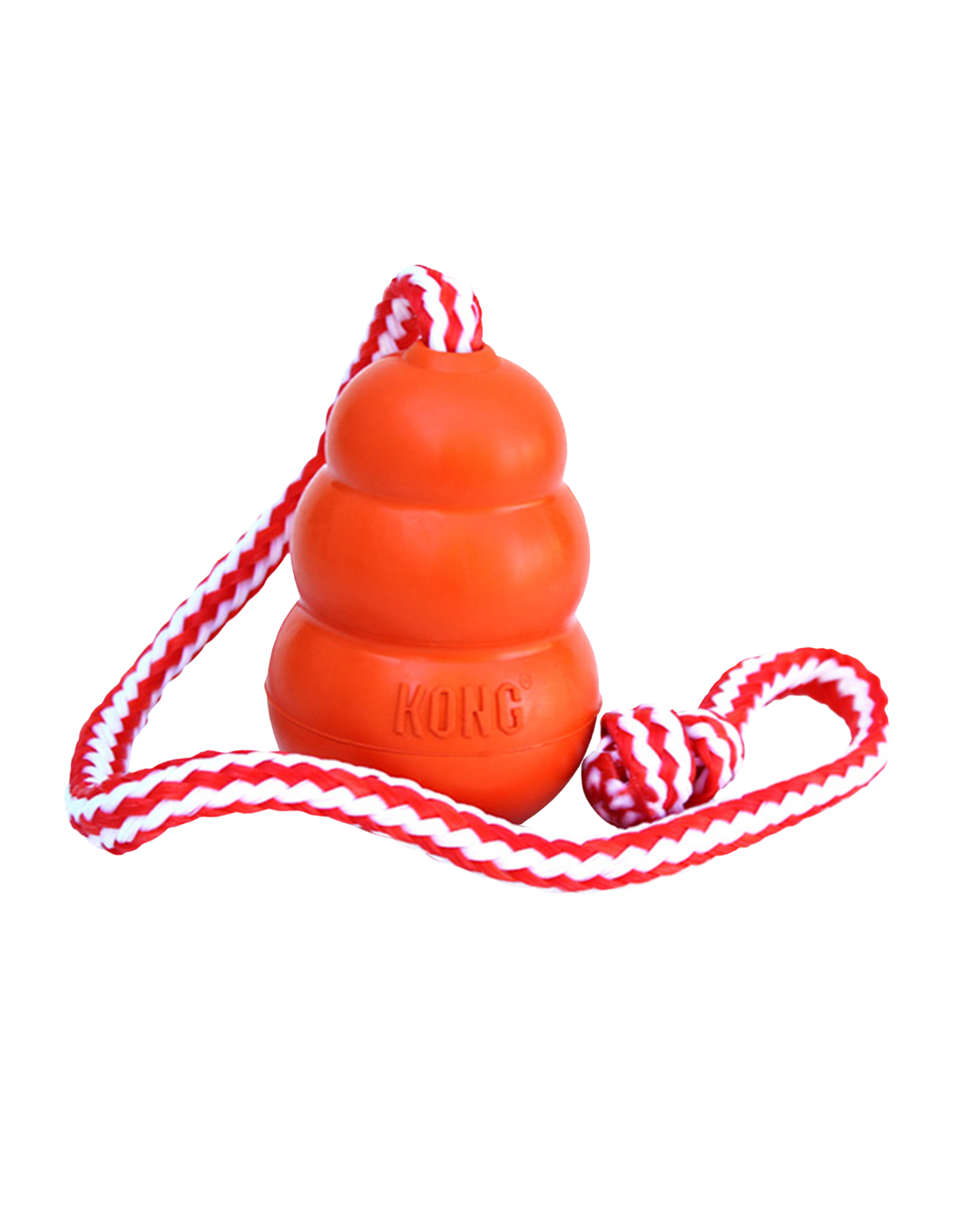 Kong Aqua Large