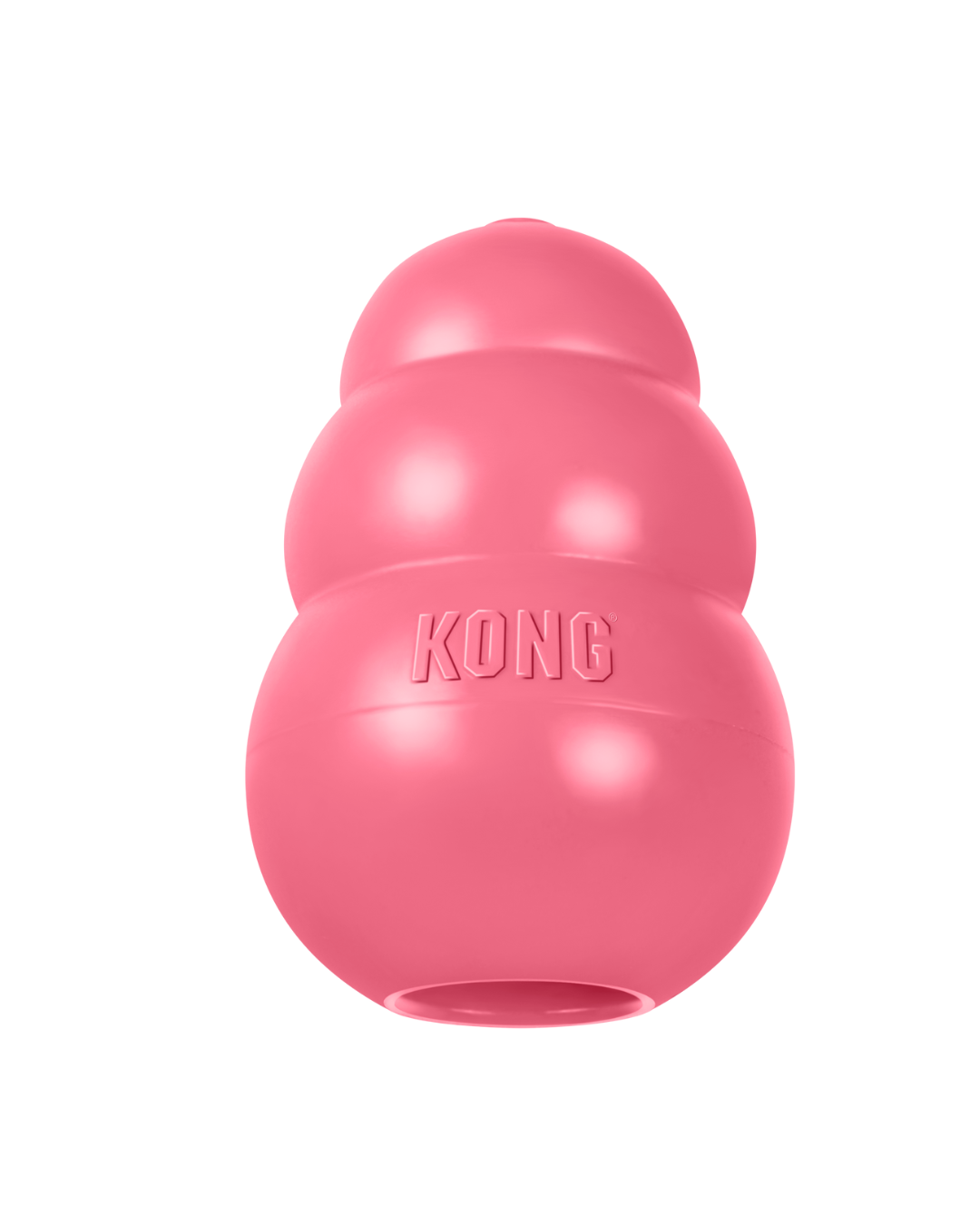 Kong Puppy Small