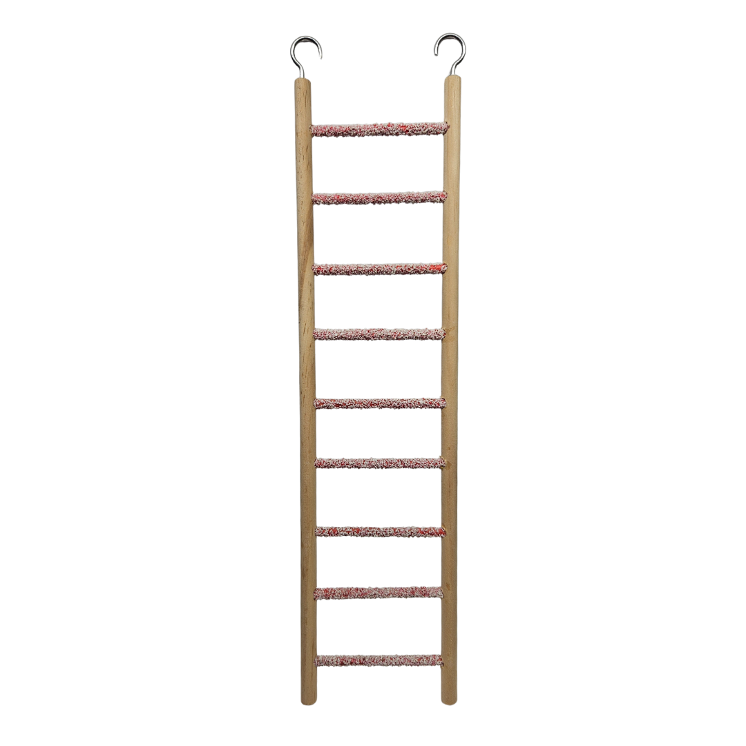 Bird Ladder with Nail trimming Perch