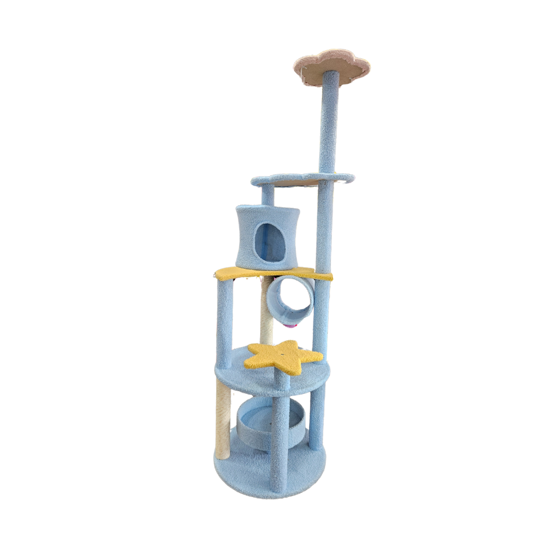 Cat Scratch house Blue