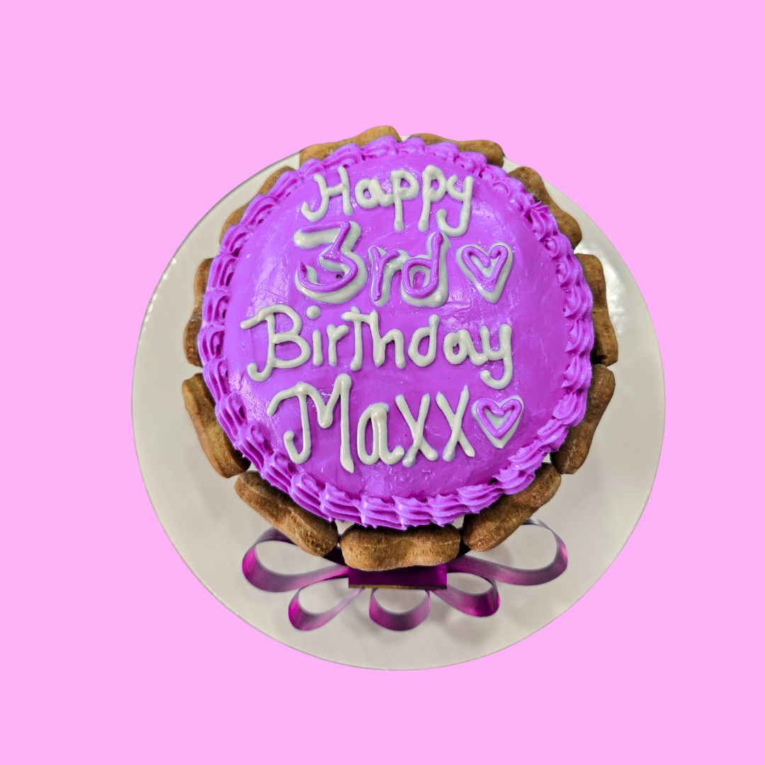 Dog Birthday Cake with Biscuits around.