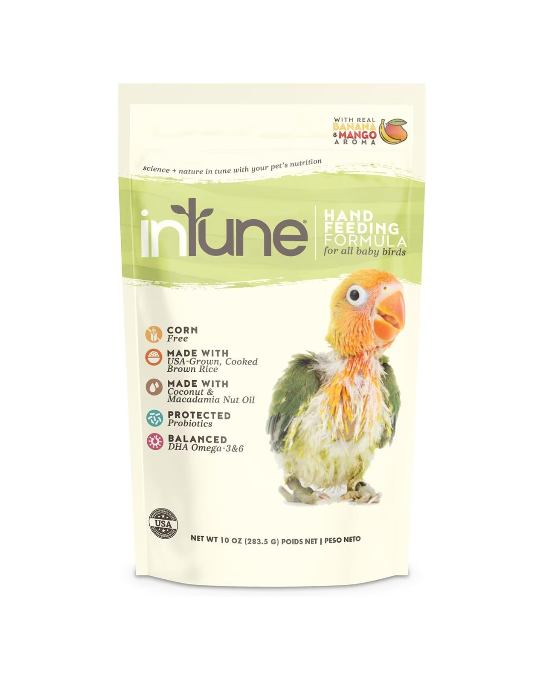Intune Hand Feeding Bird Food