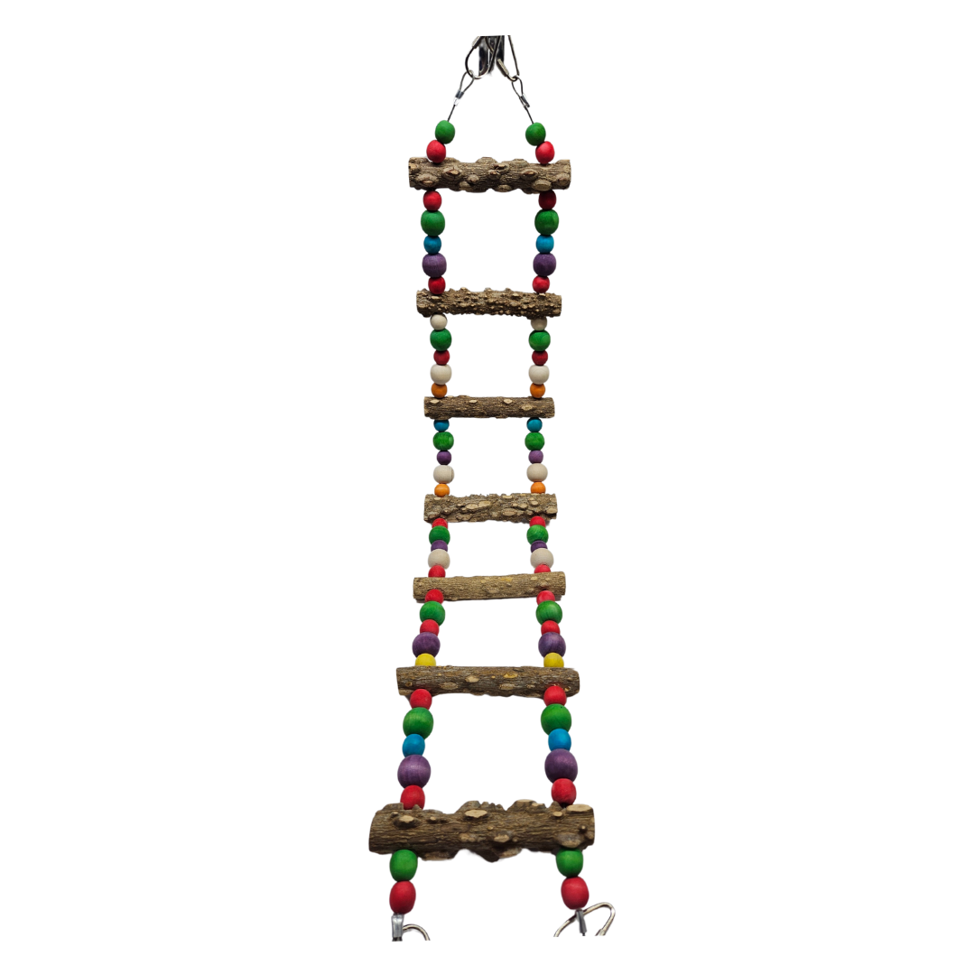 Large Colorful Bird Ladder