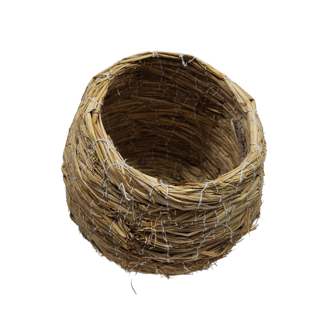 Bird Nest