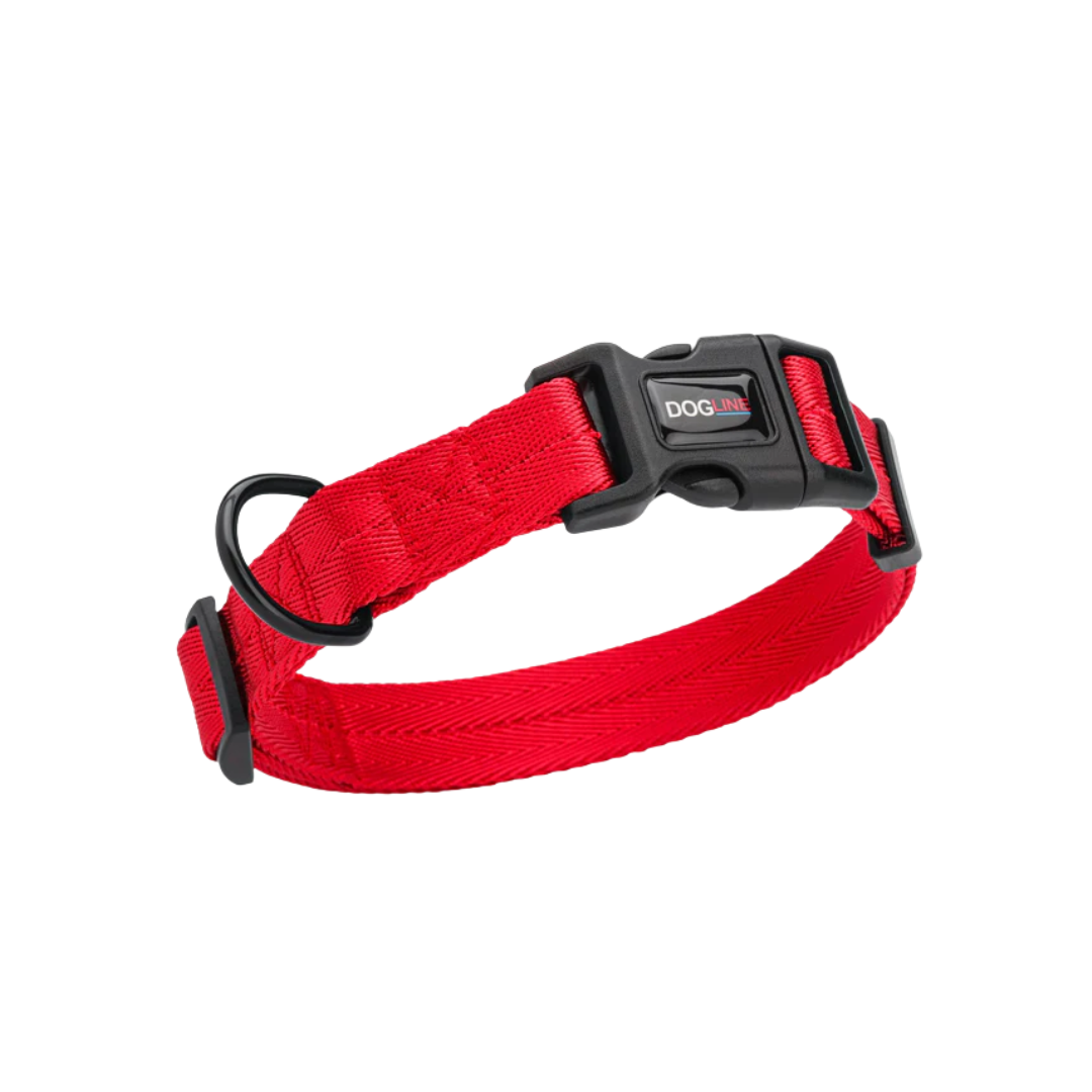 DOGLINE Nylon Flat Dog Collar 13''