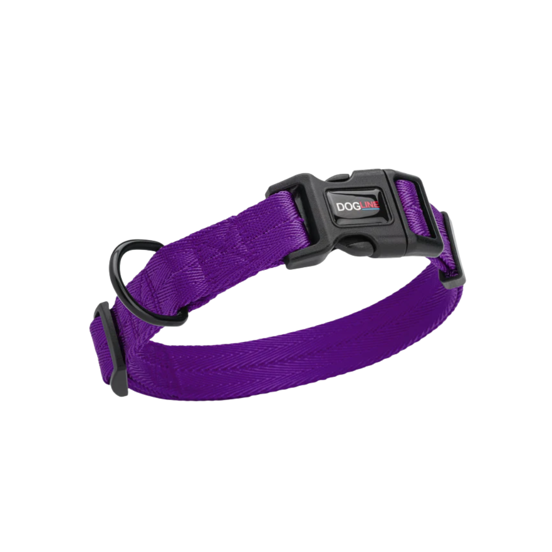 DOGLINE Nylon Flat Dog Collar 13''