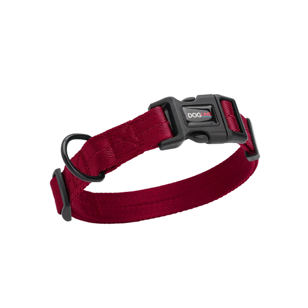DOGLINE Nylon Flat Dog Collar 13''