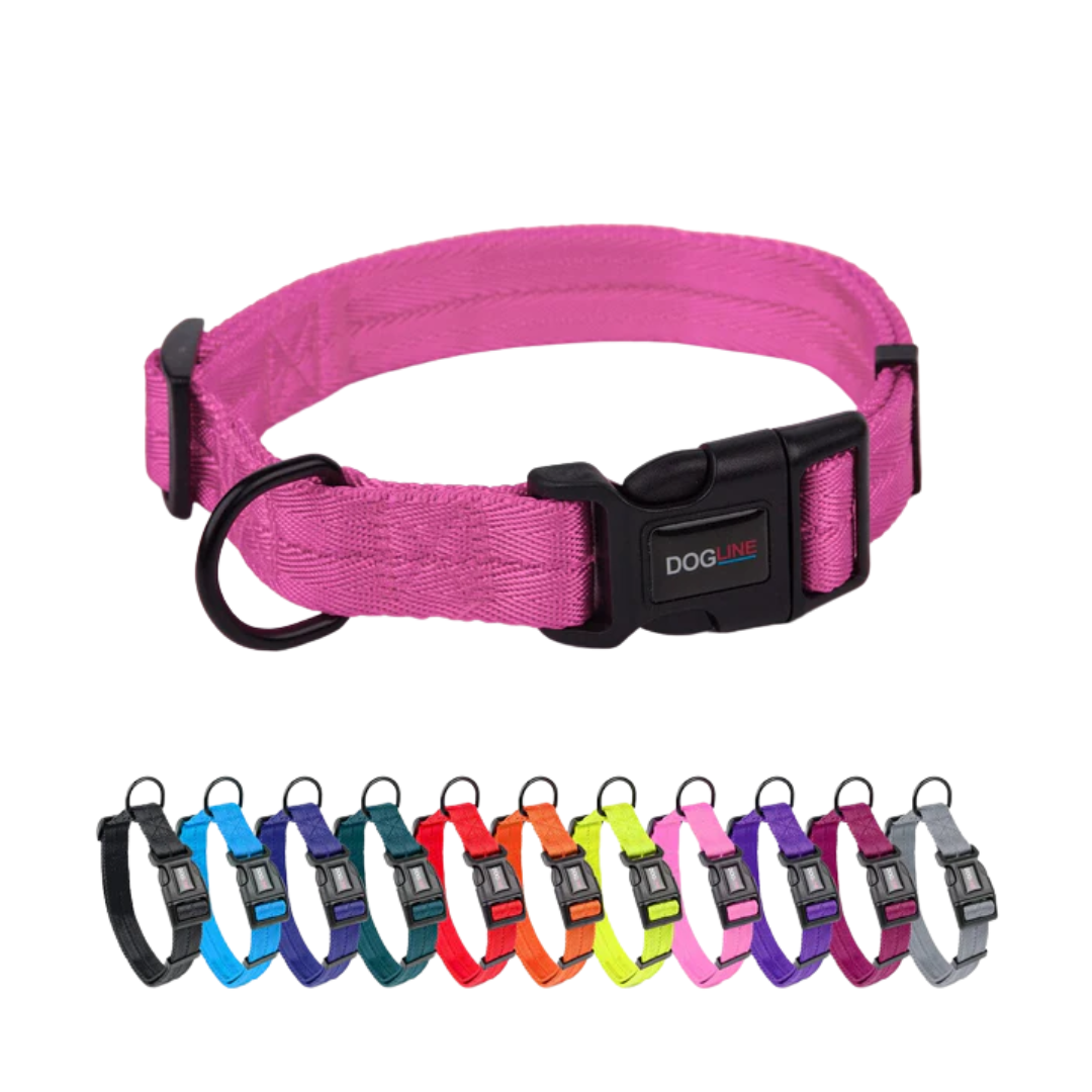 DOGLINE Nylon Flat Dog Collar 13''