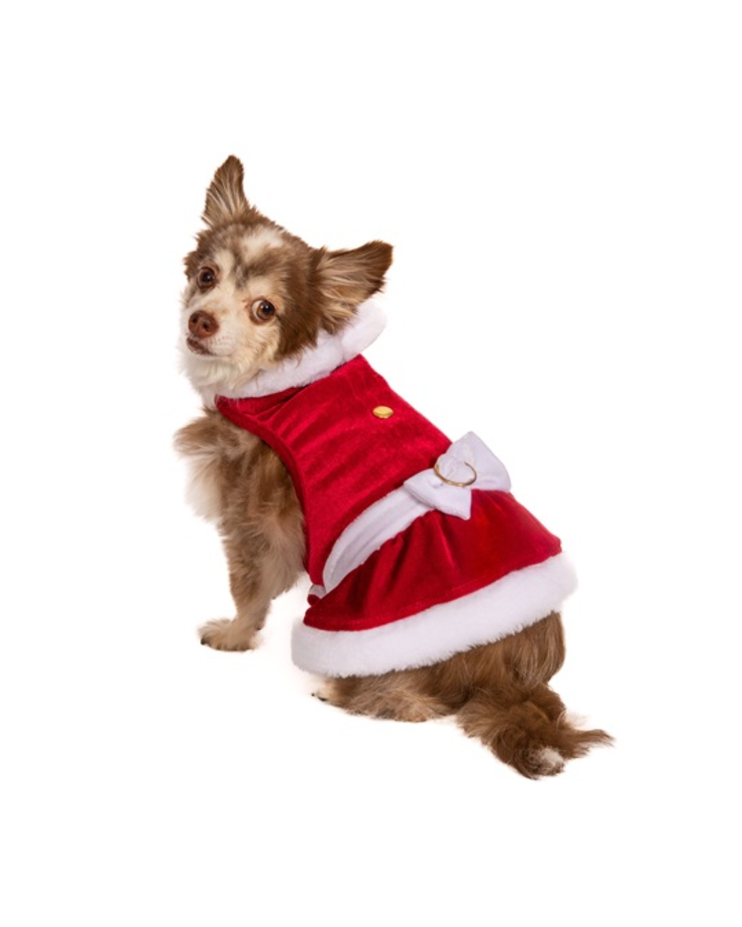 Hip Doggie Mrs. Claus Dress