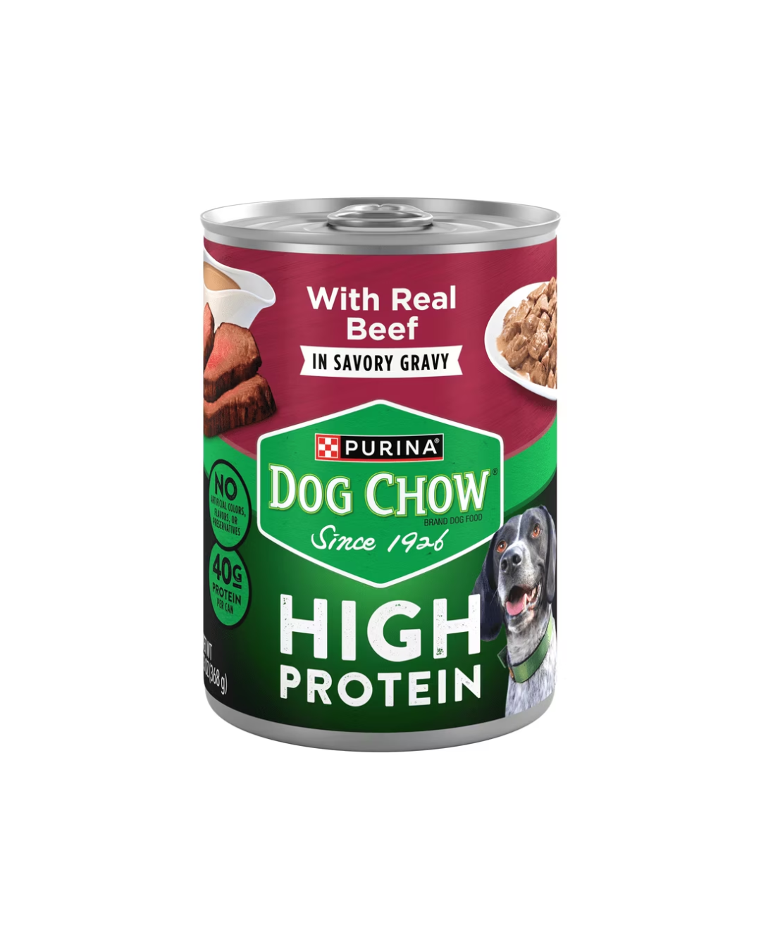 Dog Chow High Protein Wet Dog Food with Real Beef in Gravy