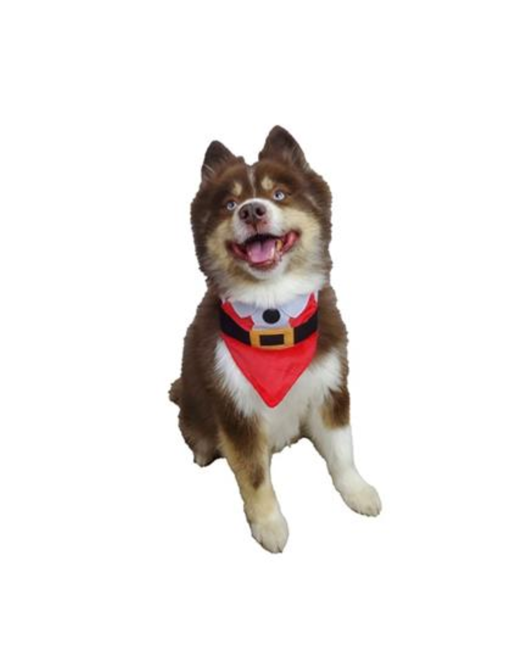 Hip Doggie Santa Bandana - Reversible