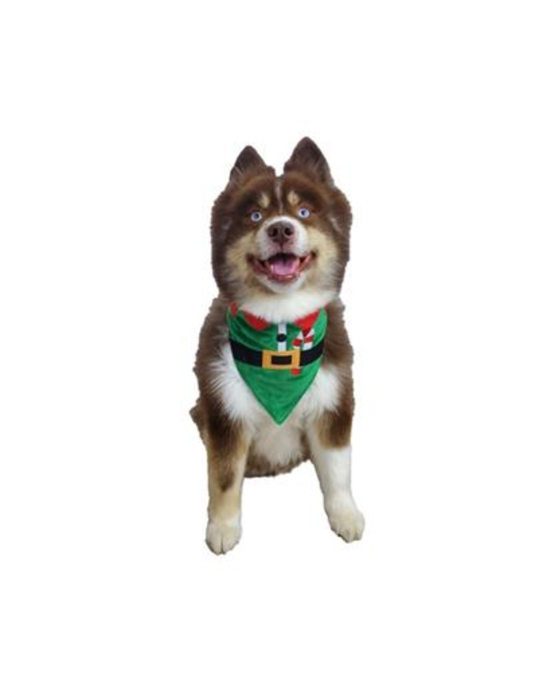 Hip Doggie Elf Bandana - Reversible