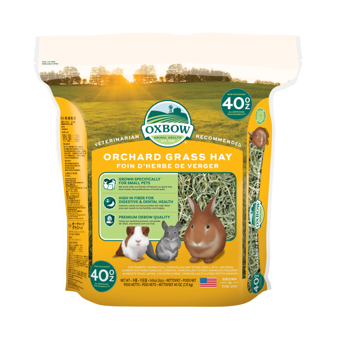 Oxbow Orchard Grass