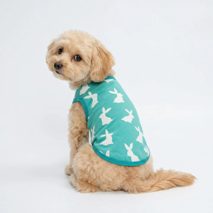 Easter Bunny Shirt