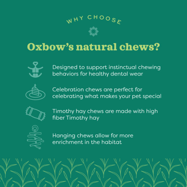 Oxbow Enriched Life – Natural Play Dangly