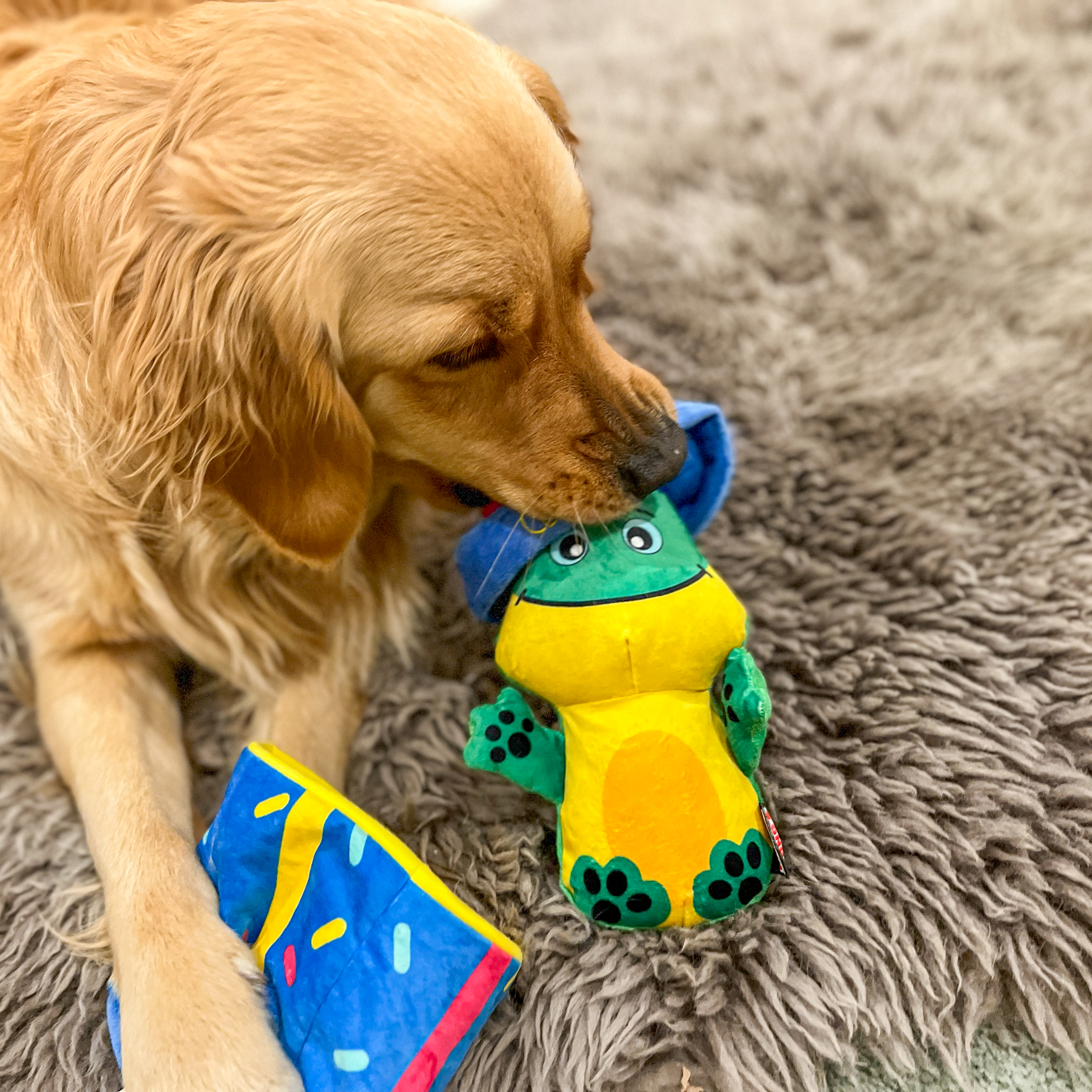 Kong Puzzlements Surprise Dog Toy