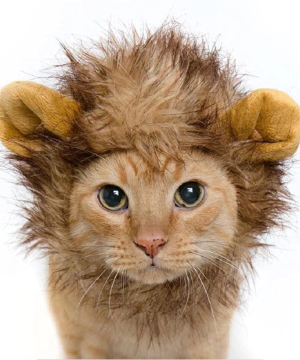 Lion Mane Cat Costume