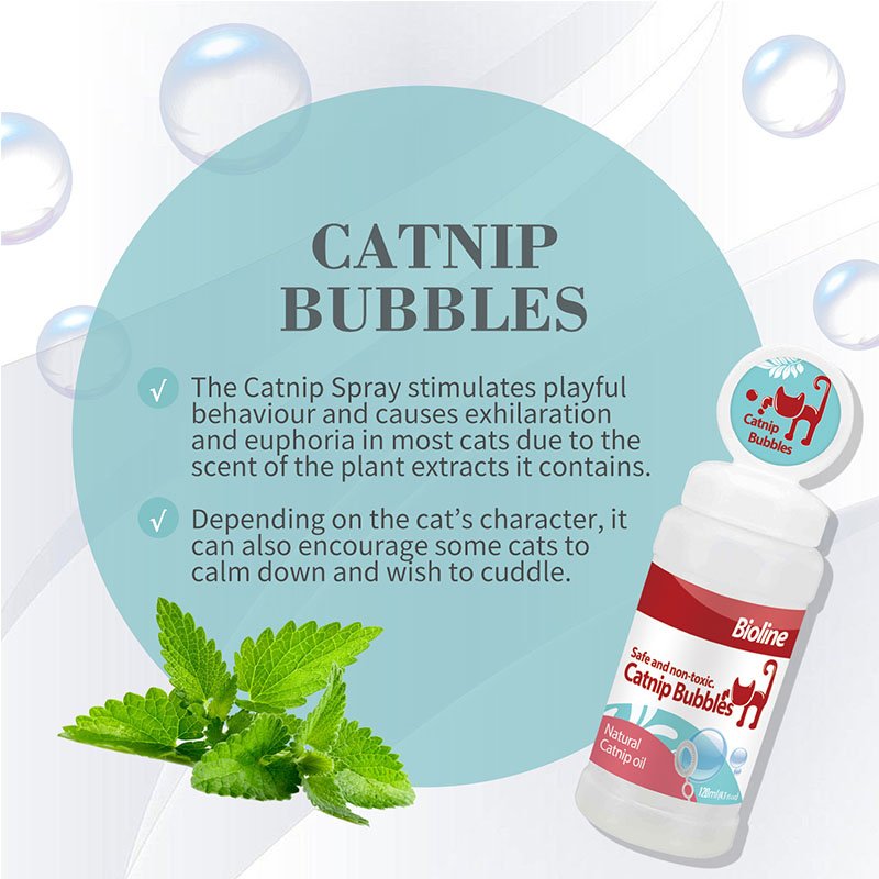 Bioline catnip bubbles