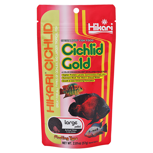 Hikari Cichlid Gold