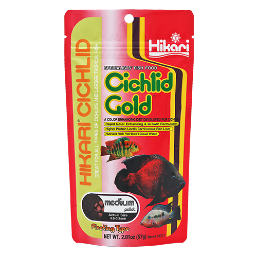 Hikari Cichlid Gold