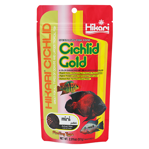 Hikari Cichlid Gold