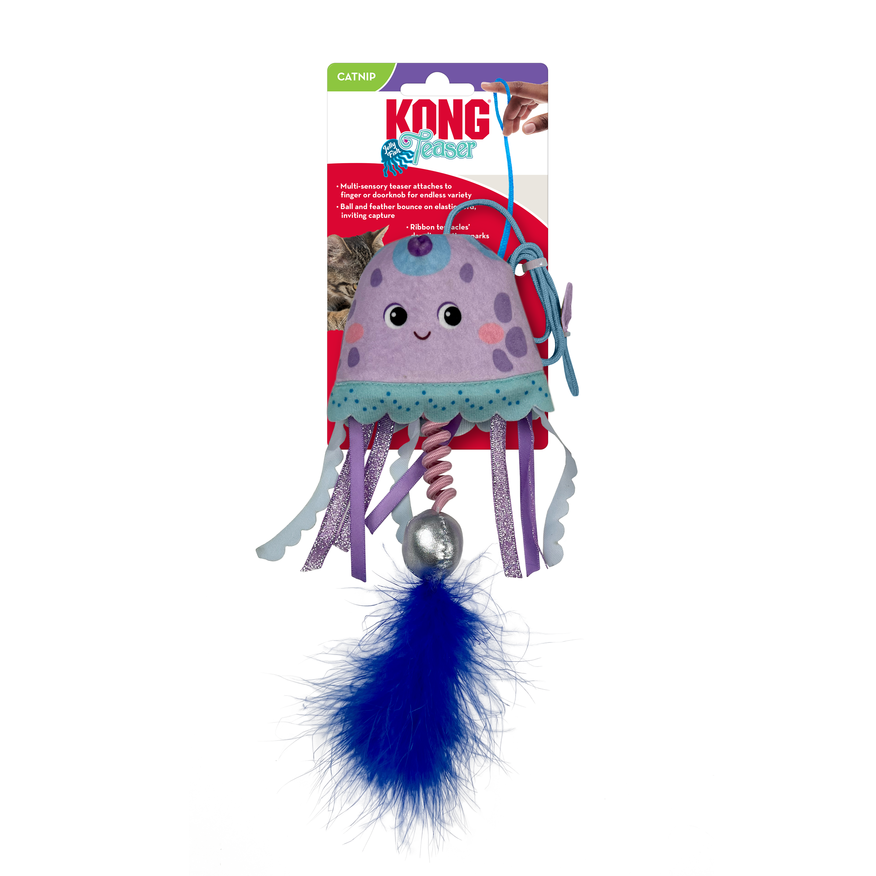Kong Teaser Jellyfish