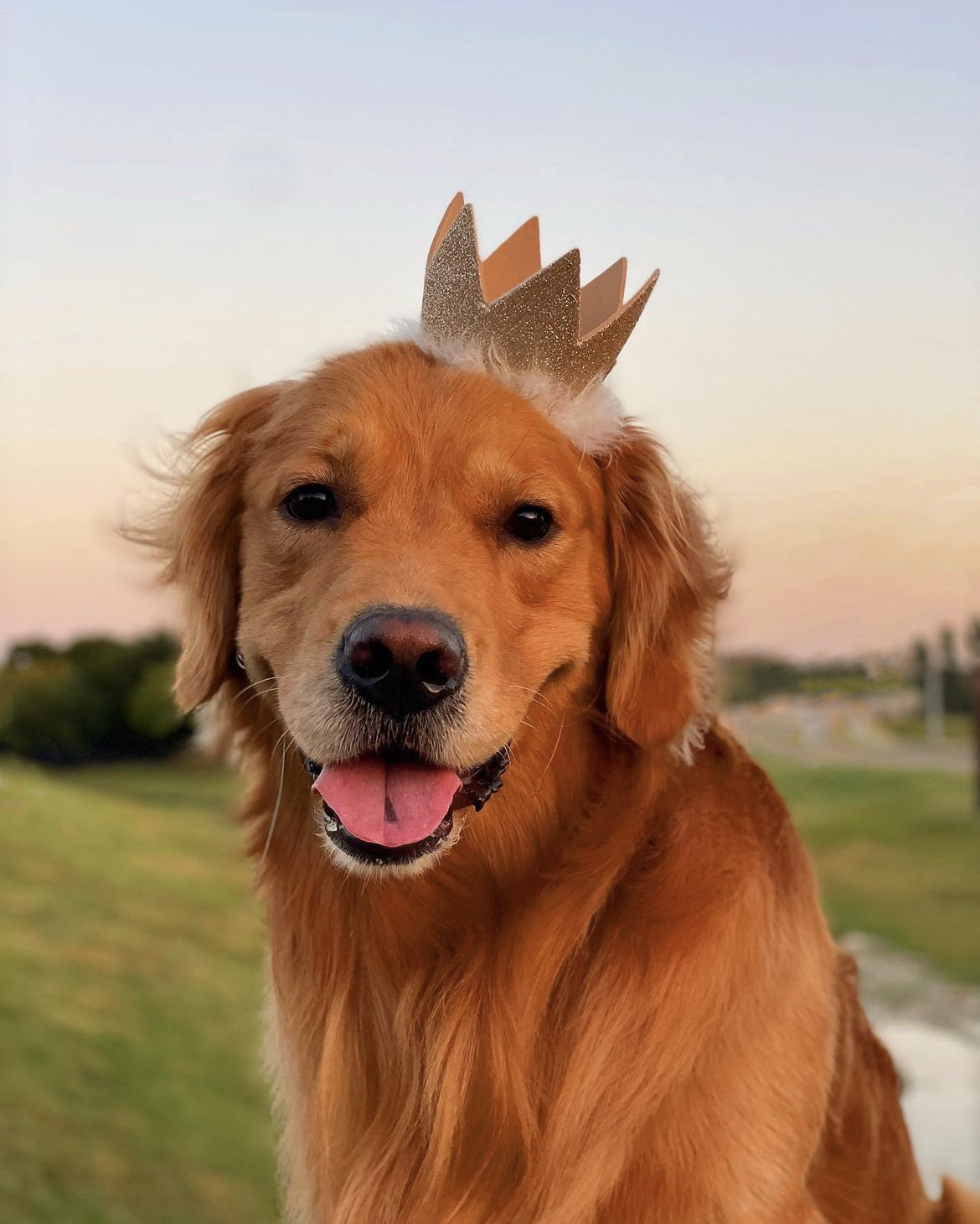 Huxley & Kent Party Crowns with SnugFit®