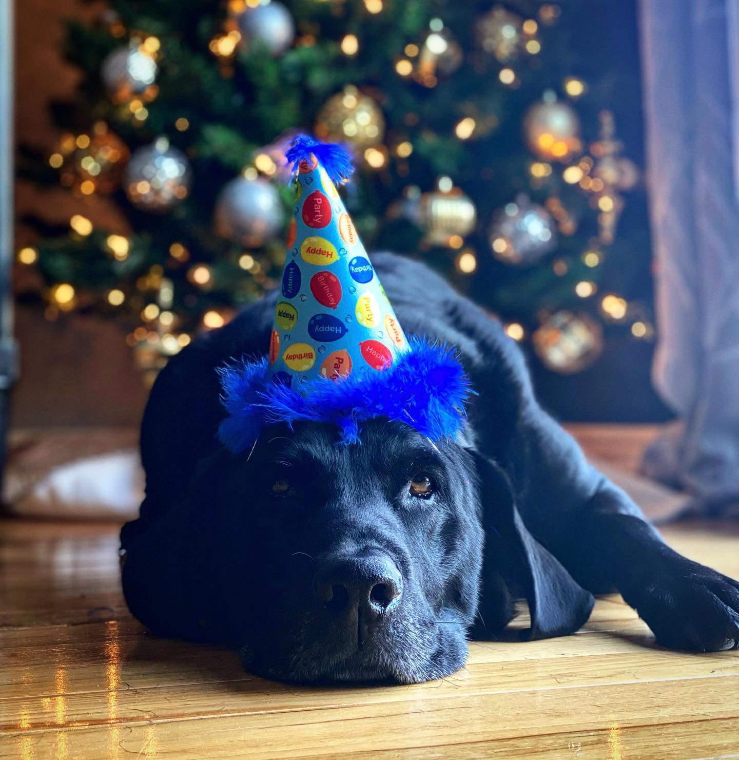 Huxley & Kent Party Hats with SnugFit®