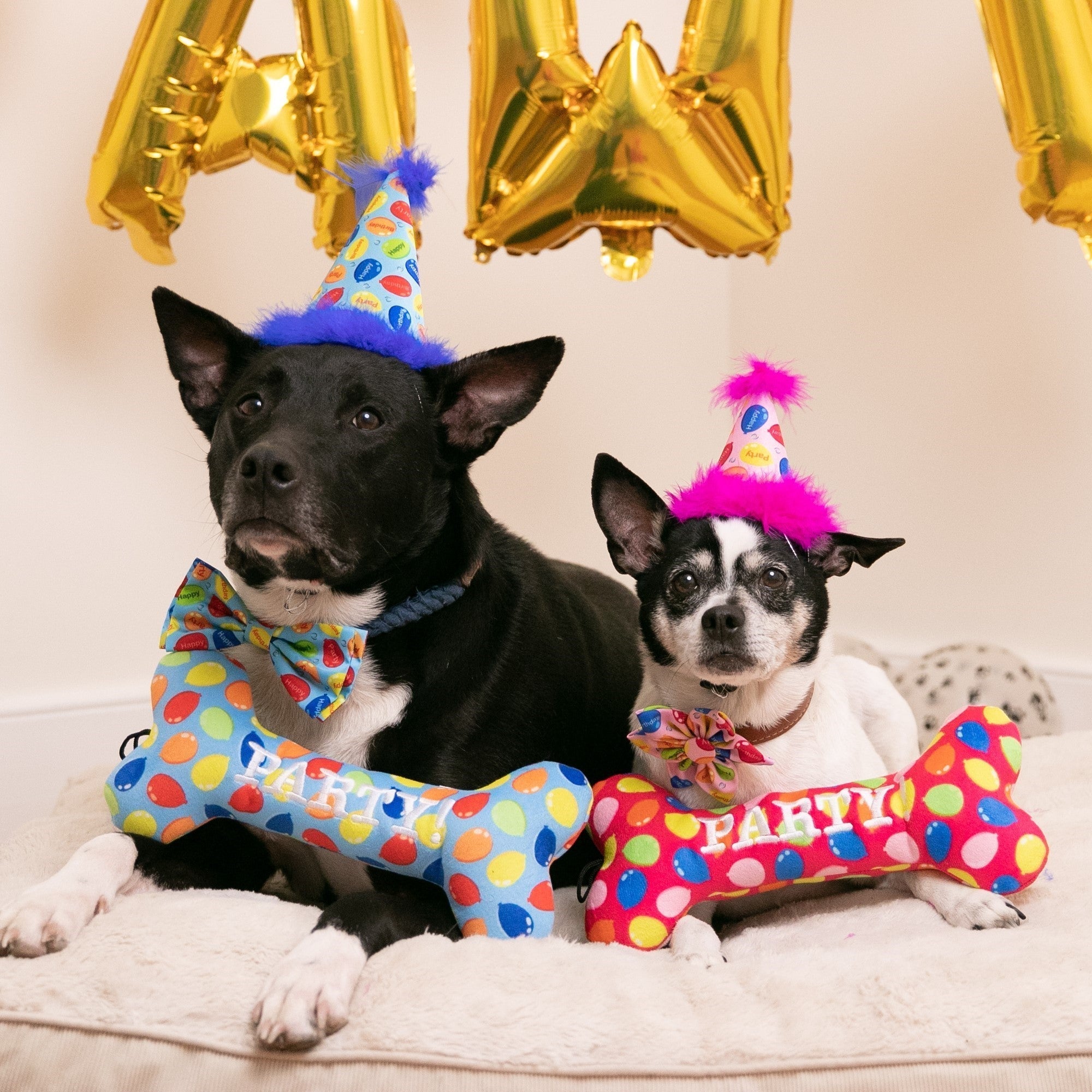 Huxley & Kent Party Hats with SnugFit®