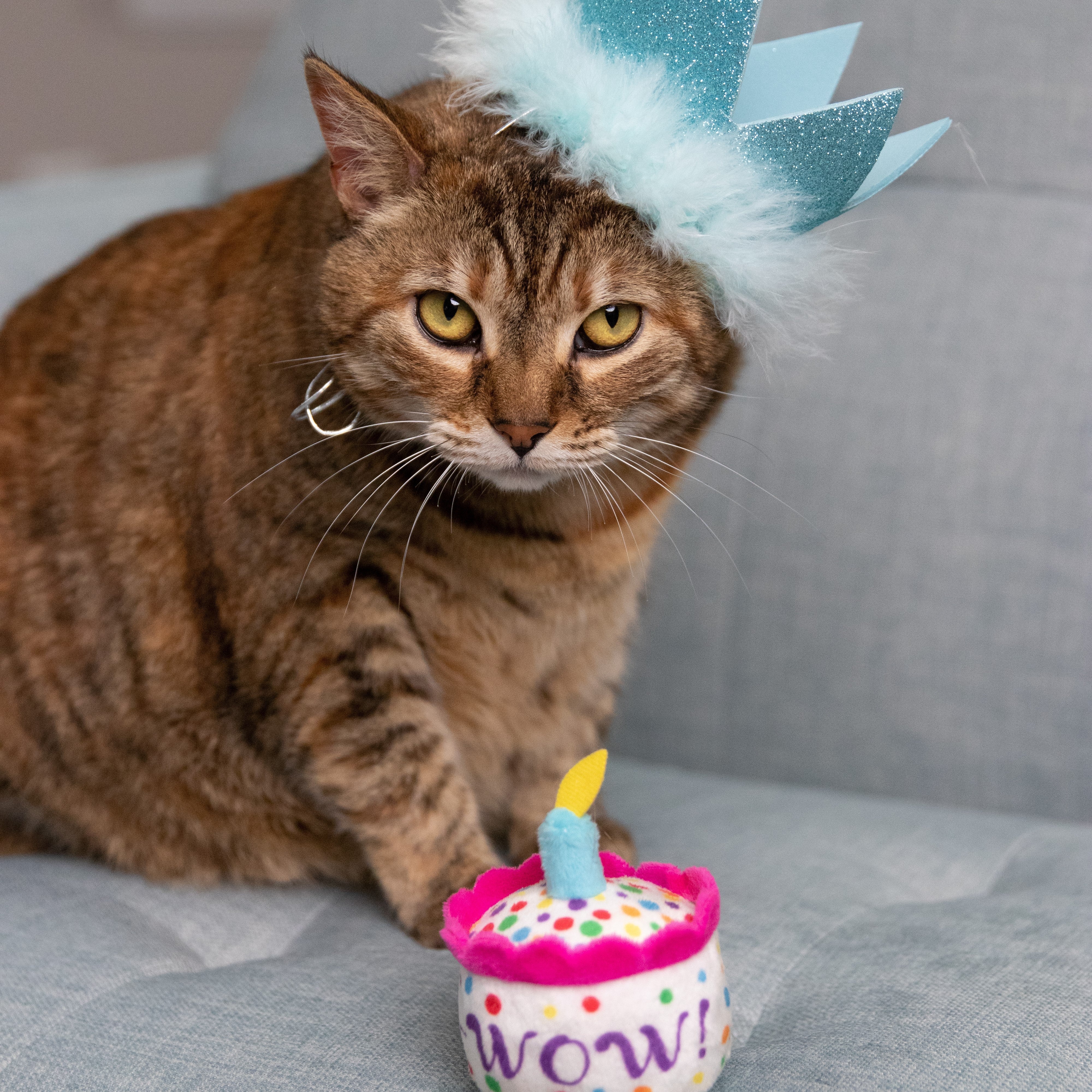 Huxley & Kent Party Crowns with SnugFit®