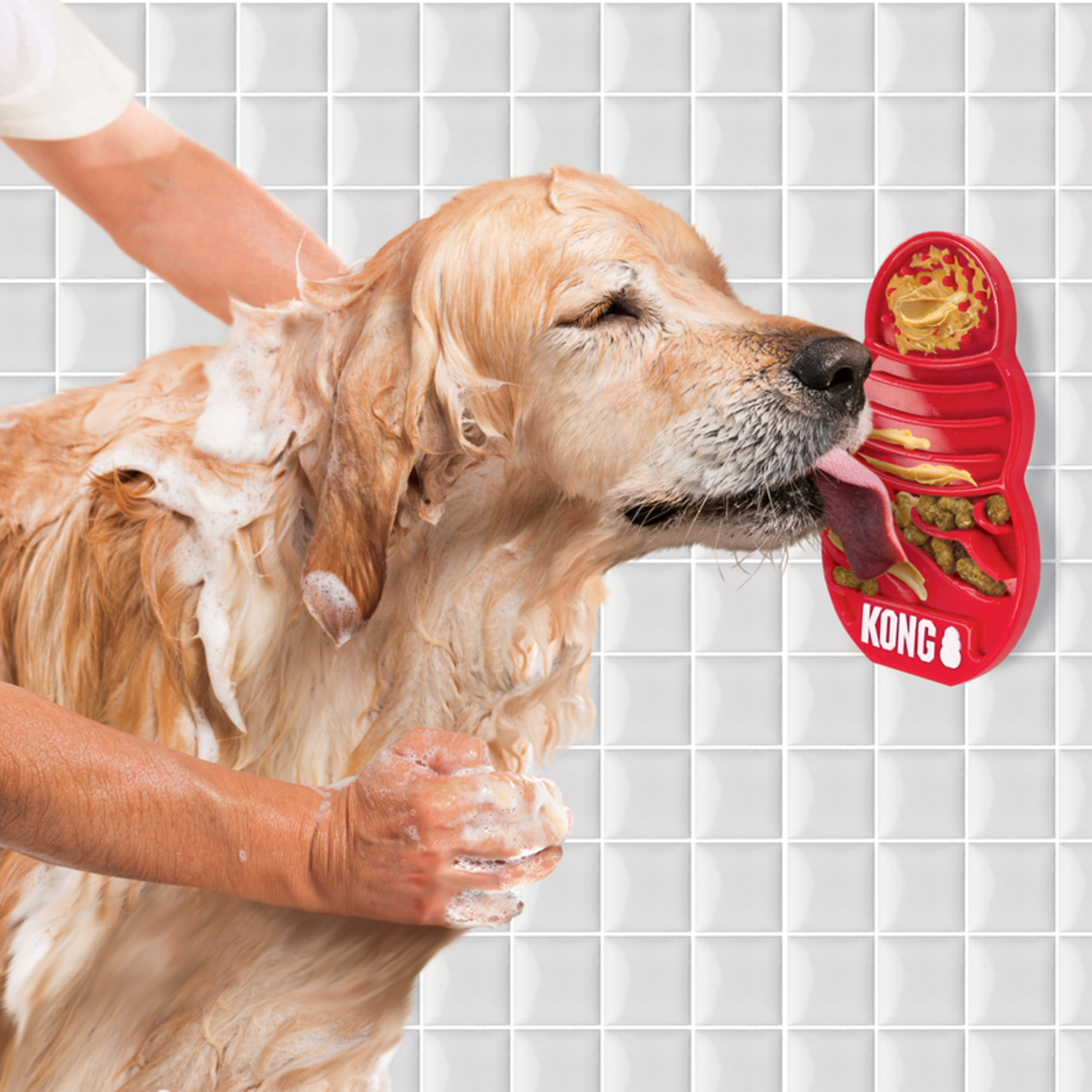 Kong Licks Dog Treat Dispenser