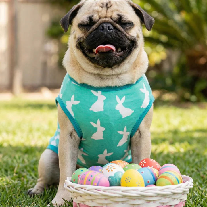 Easter Bunny Shirt