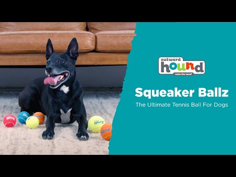 Squeaker Ballz Squeaky Tennis Balls, Small